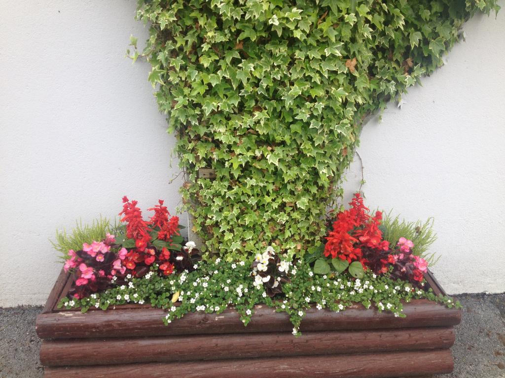 Carragh House Bed & Breakfast คาสเซิลบาร์ ภายนอก รูปภาพ